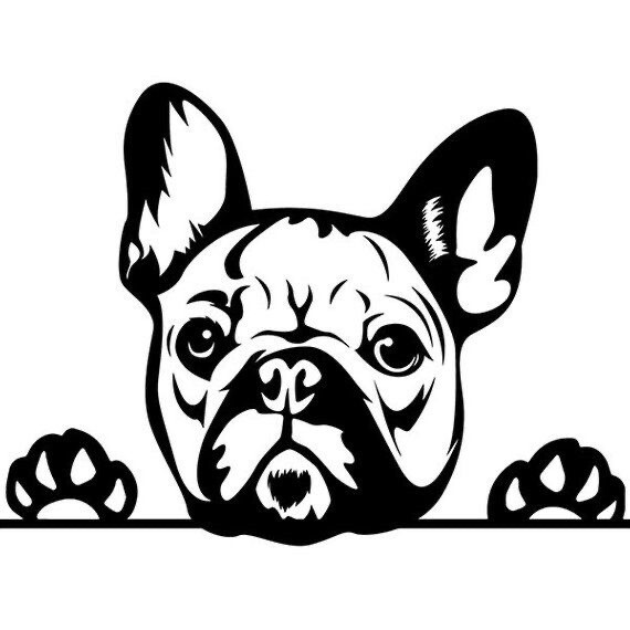 Vinyl Decal for Window – French Bulldog (May Customize w/ Name), Various Colors