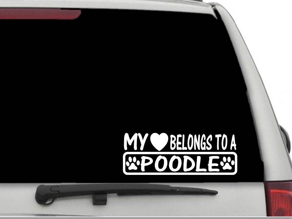 MY HEART BELONGS TO A POODLE Decal Sticker CW4272