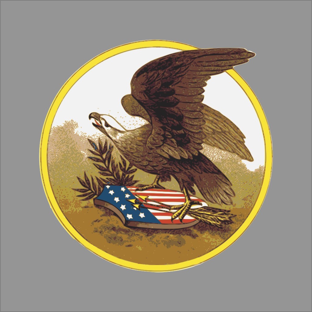American Eagle Patriotic Wall Car Window Vinyl Decal Sticker Graphic
