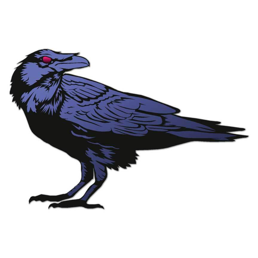 Crow Raven, Vinyl Decal Sticker, Indoor Outdoor, 3 Sizes, #7664