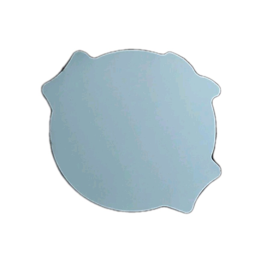 Natural Orange 100% Organic & Fresh Sticker Decal