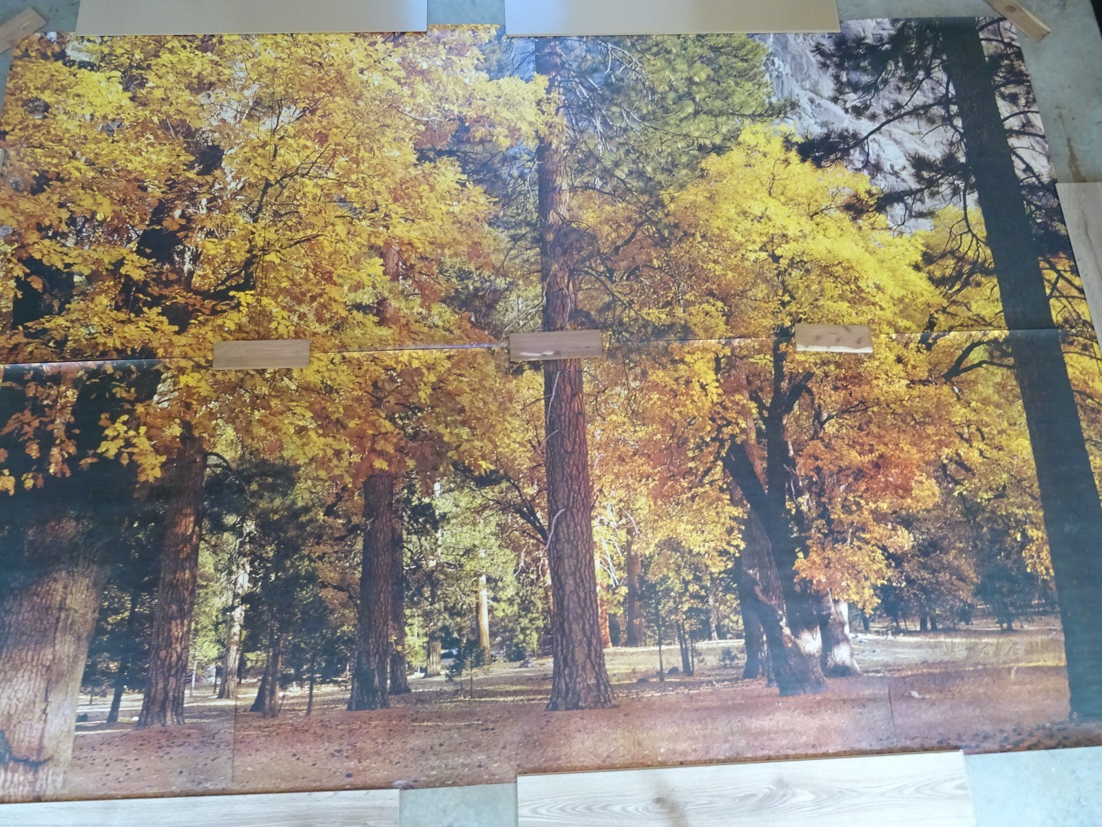 Full Wall Photo Mural Autumn Yosemite National Park Josef Muench 8’ 8” x 12’ 6”