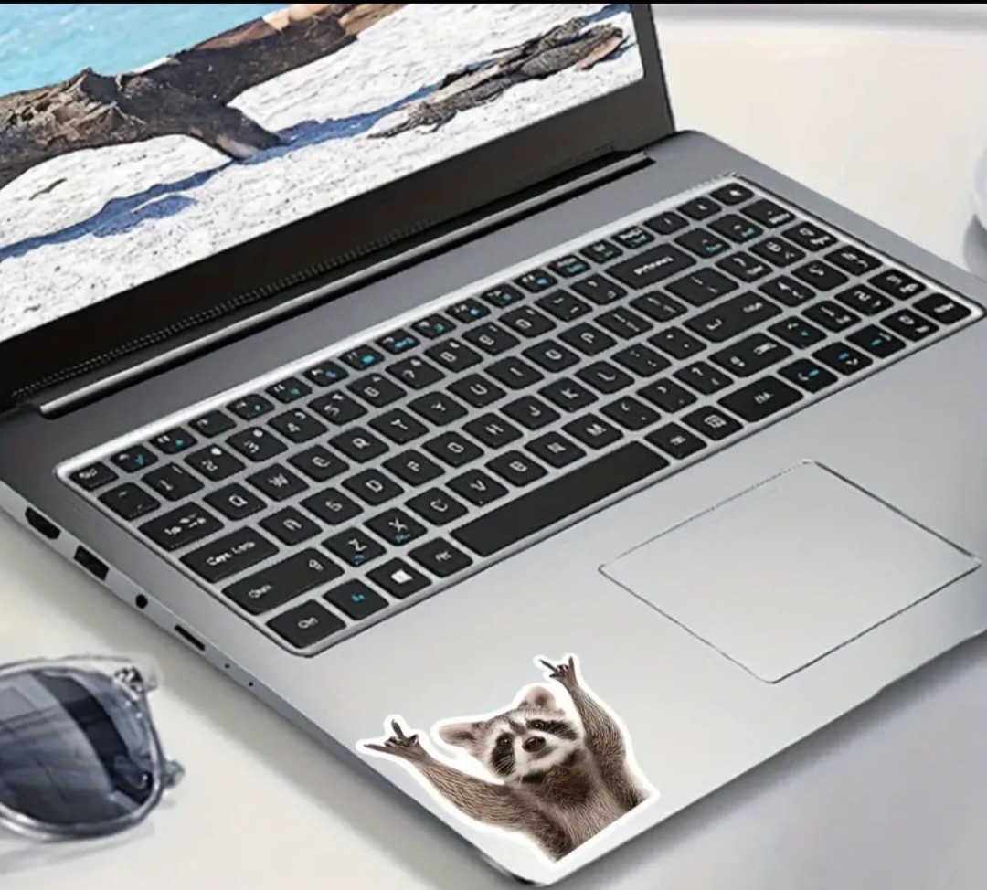 Rocking Raccoon Car Decal Sticker Laptop, Motorcycle Free Shipping 4x4in