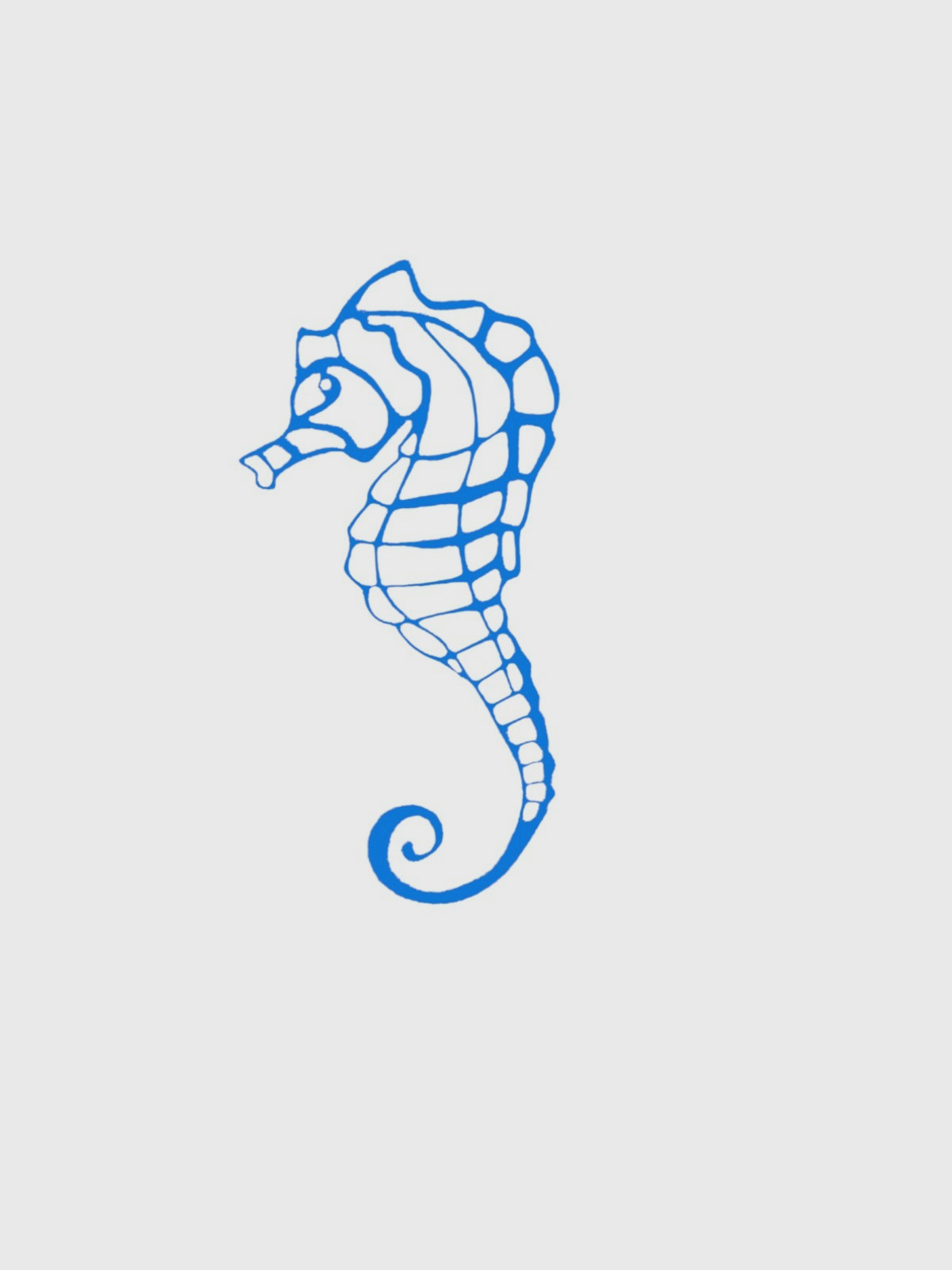 SEAHORSE Tropical Ocean Vinyl Decal Car Jeep Truck Bumper Wall Home