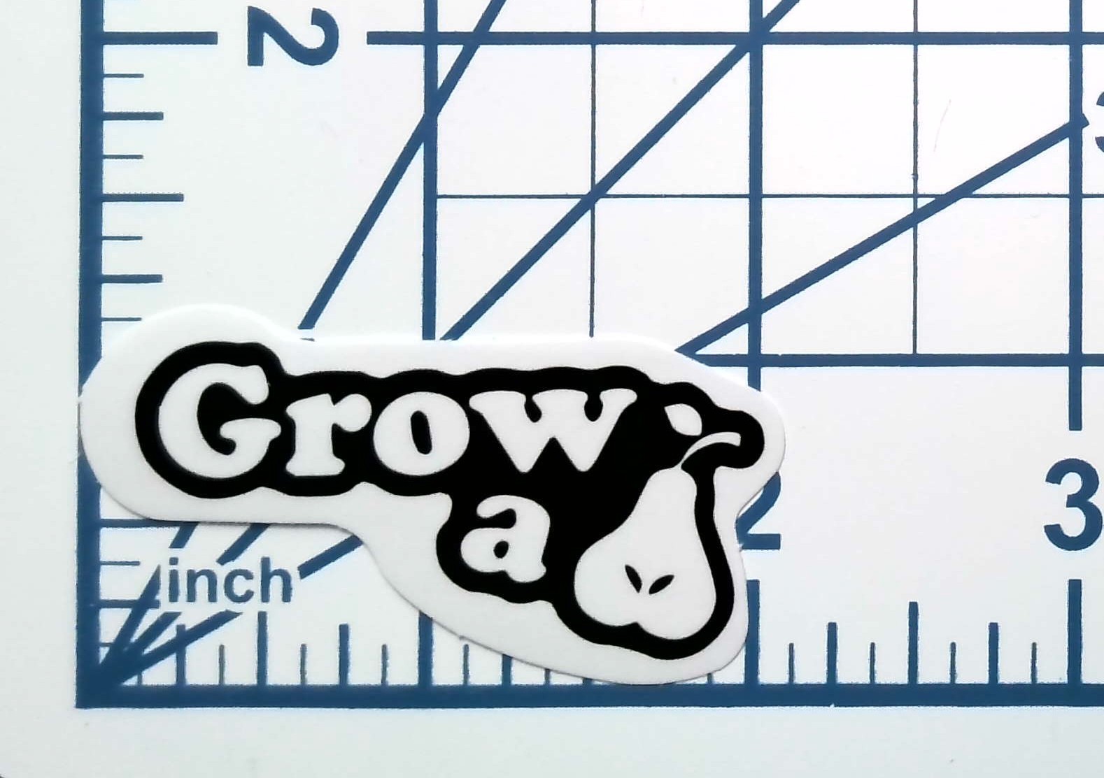 Grow A Pear Vinyl Sticker Funny Fruit Sarcastic Die Cut Journal Laptop Planner