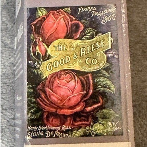 Prima Marketing IOD Etoile De France Rose Decor Transfer 24×34 Vintage Floral