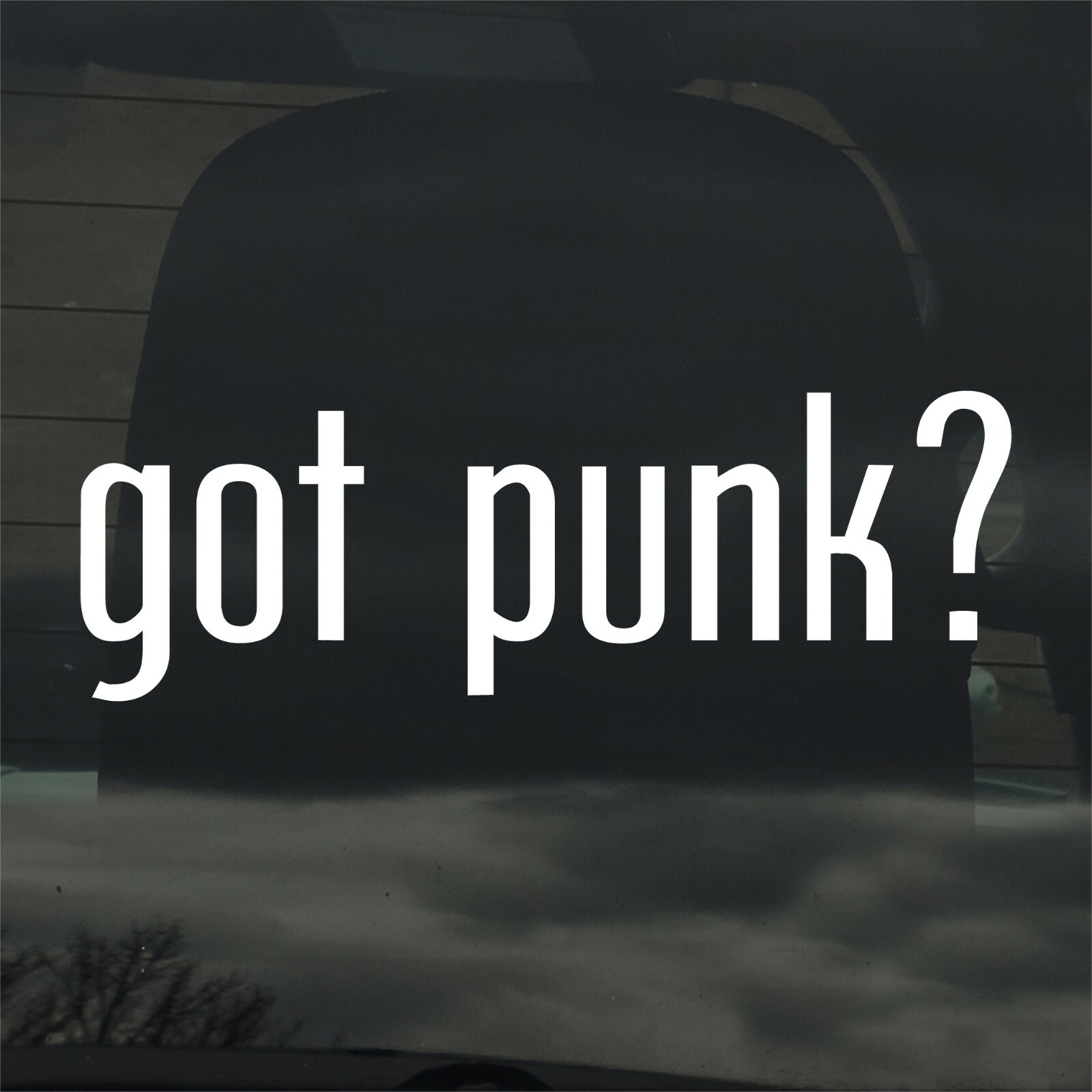Got Punk? Custom Vinyl Sticker / Decal Music, Rock, Band, Style, Attitude