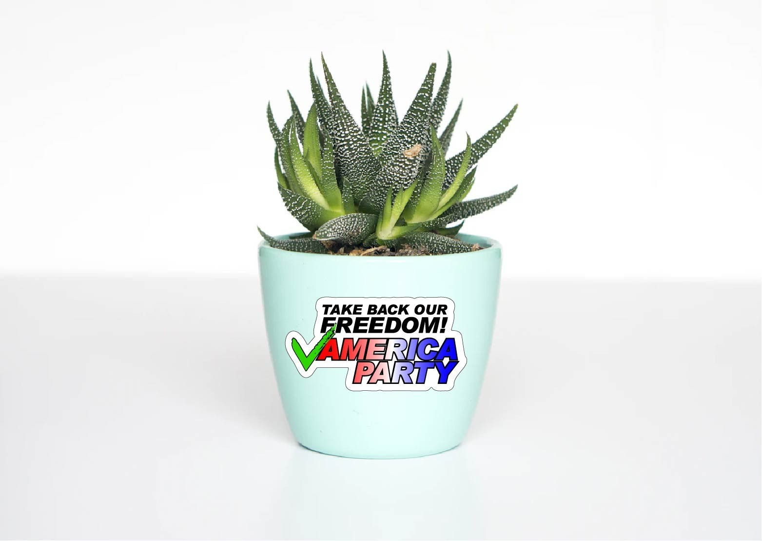 America Party Decal Sticker Take Back Our Freedom Vote American Third Parties
