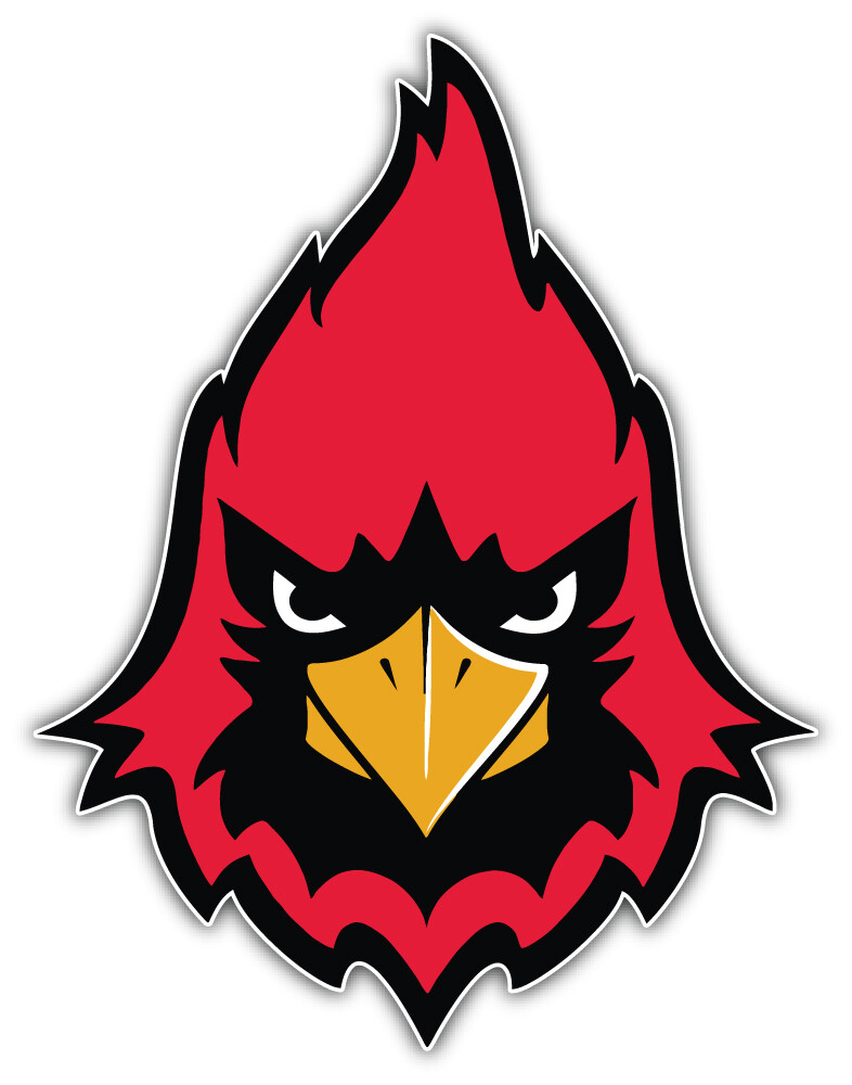 Arizona Cardinals Bird Head NFL Sport Car Bumper Sticker Decal "SIZES"