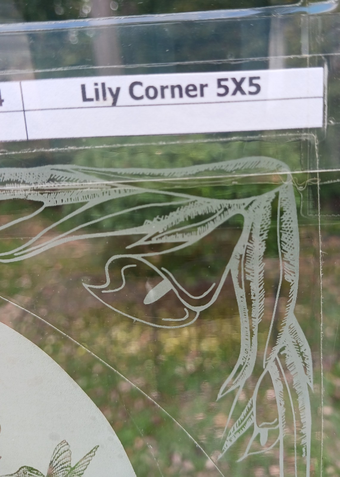 LILY Etched (Clear Back) Look Cling 5"X5" Corners Removable & Reusable 204