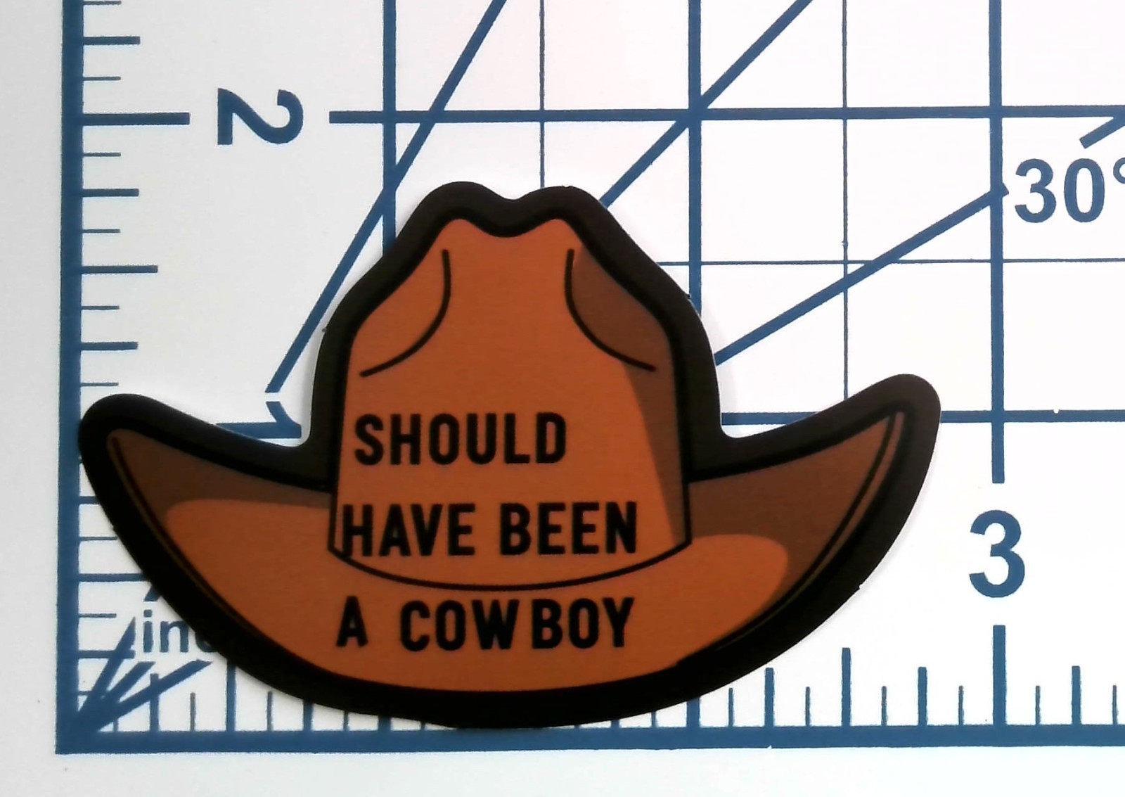 Should Have Been A Cowboy Hat Vinyl Sticker Vintage Western Country Song Decal