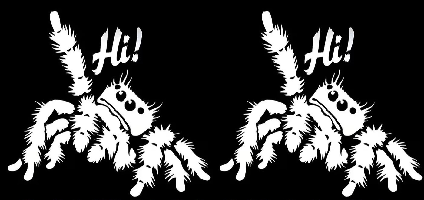 Jumping Spider "Hi!" Two PK 5" Vinyl Decals Car Truck Window Door Laptop Tablet