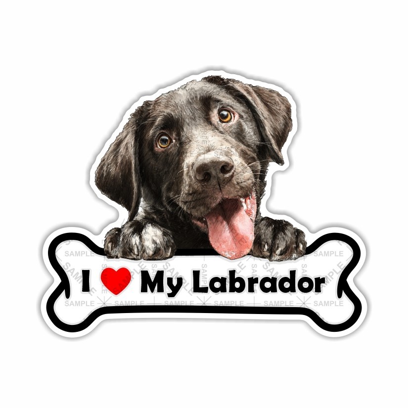 I Love my Labrador, Sticker, Peel N' Stick, Different Sizes
