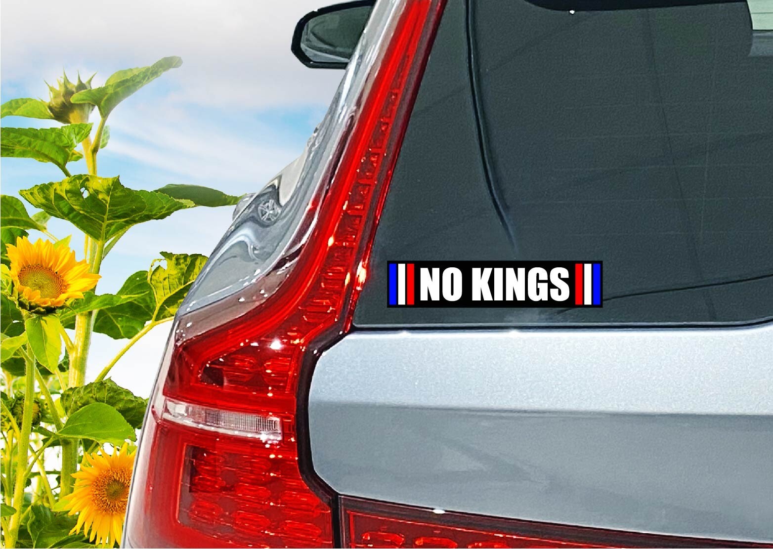 No Kings Decal Sticker Anti Trump MAGA Red White Blue Rights Protest Day 2025