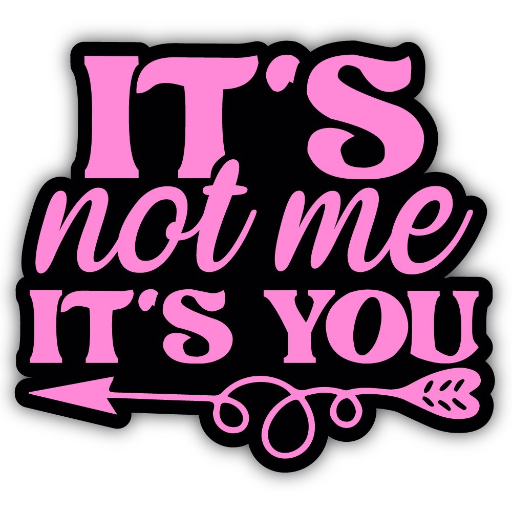 It's Not Me It's You Cut To Shape Vinyl Bumper Sticker