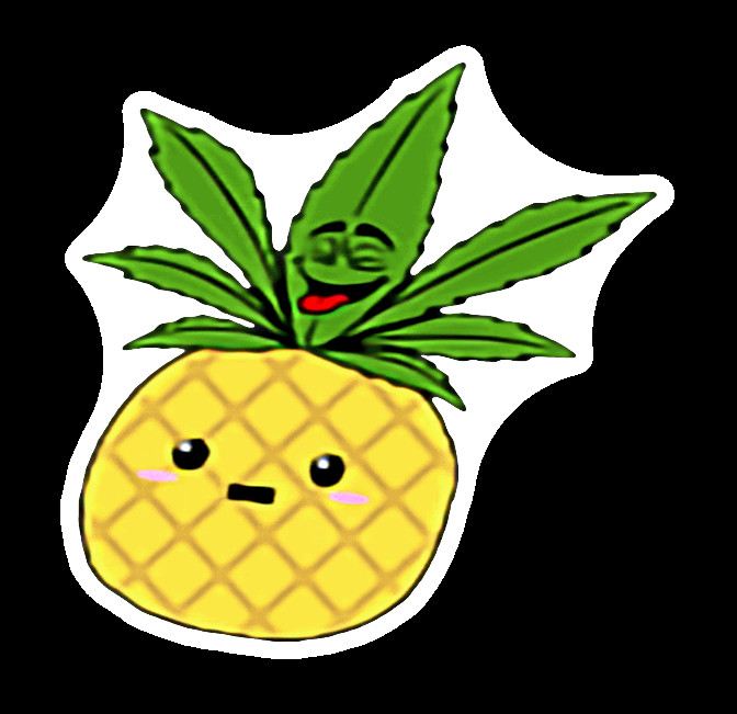 Pineapple Express Weed Strain Sticker Vinyl Decal Weed 420 Marijuana UV Safe