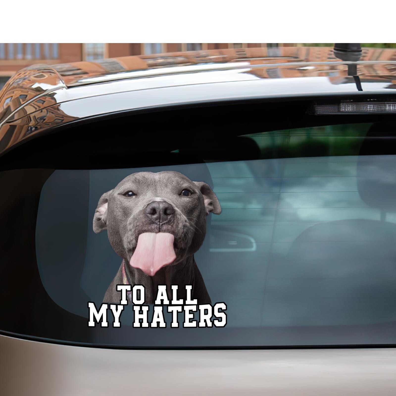 Pitbull Decals Pitbull Car Sticker Funny To All My Haters Stickers Meme Decal