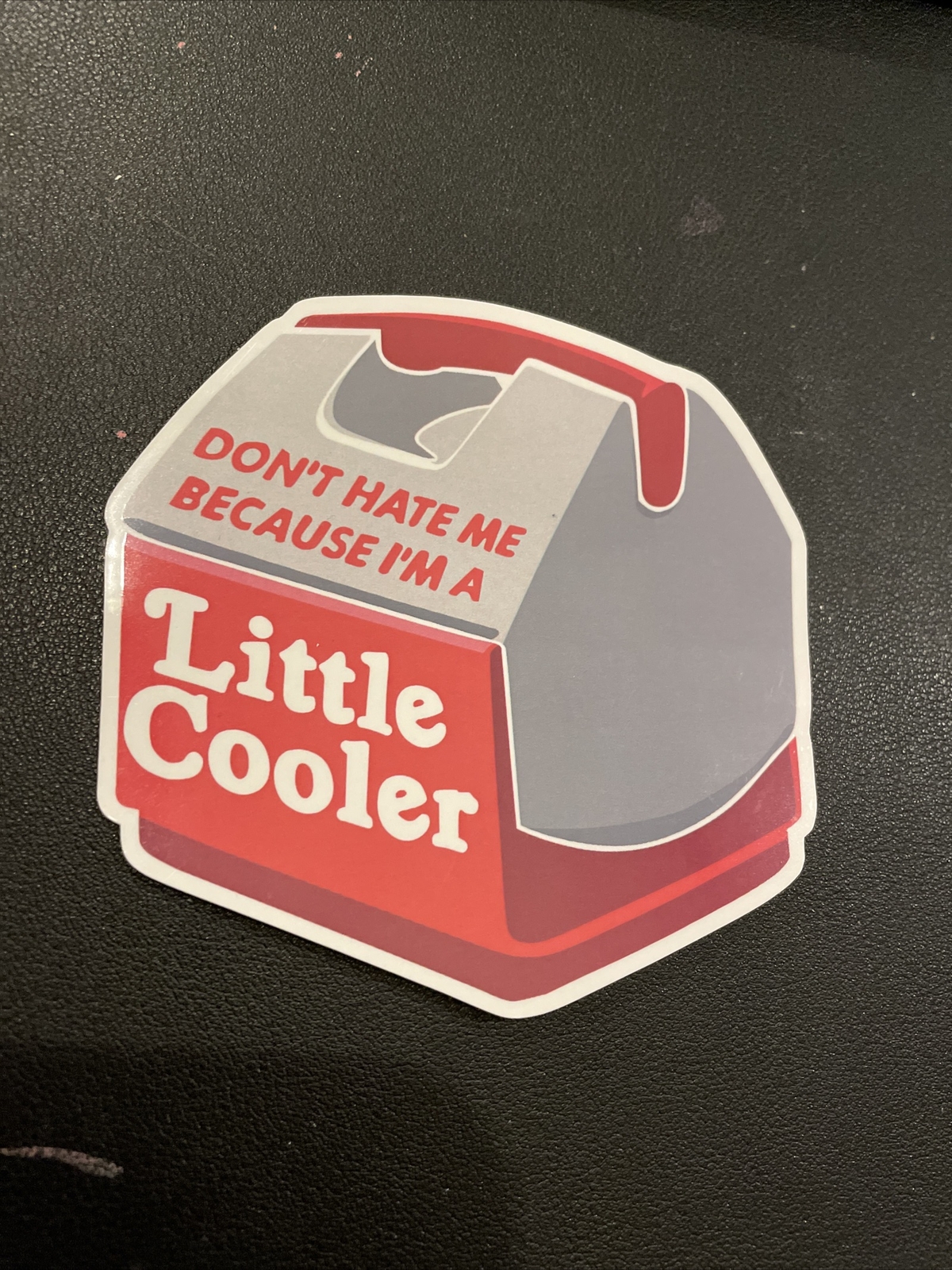 Don't Hate Me Little Cooler Outdoors Red Decal Classic Igloo Funny Glossy Vinyl