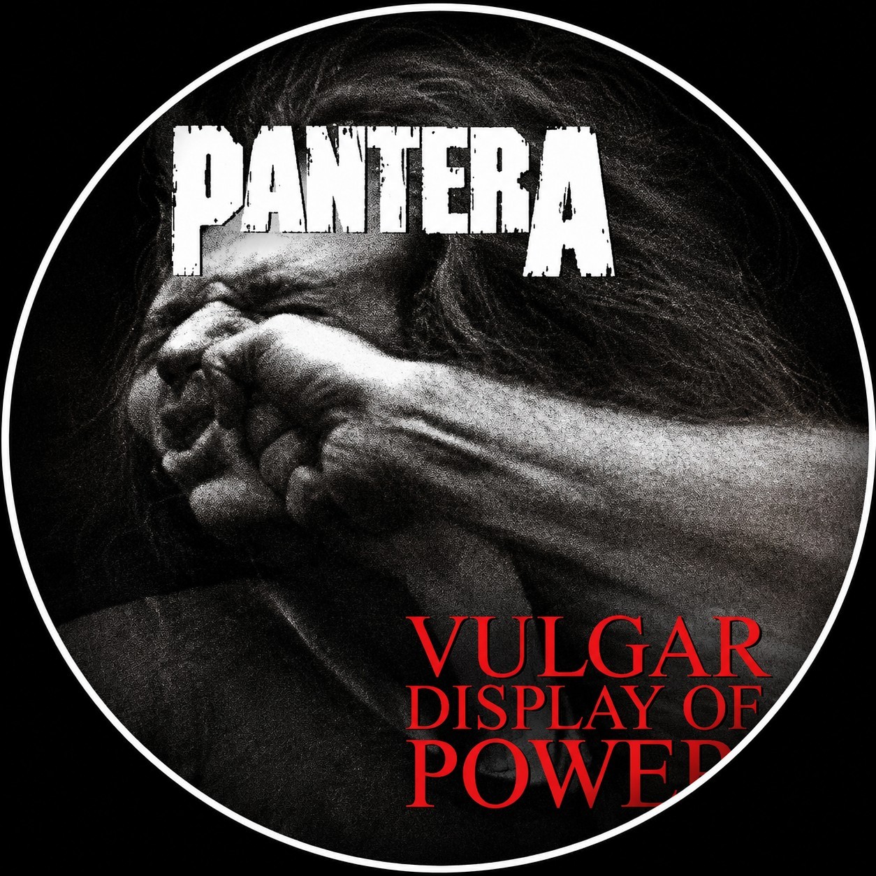Pantera Vulgar Display Power Weather Resistant Vinyl Sticker Car Truck Laptop 08