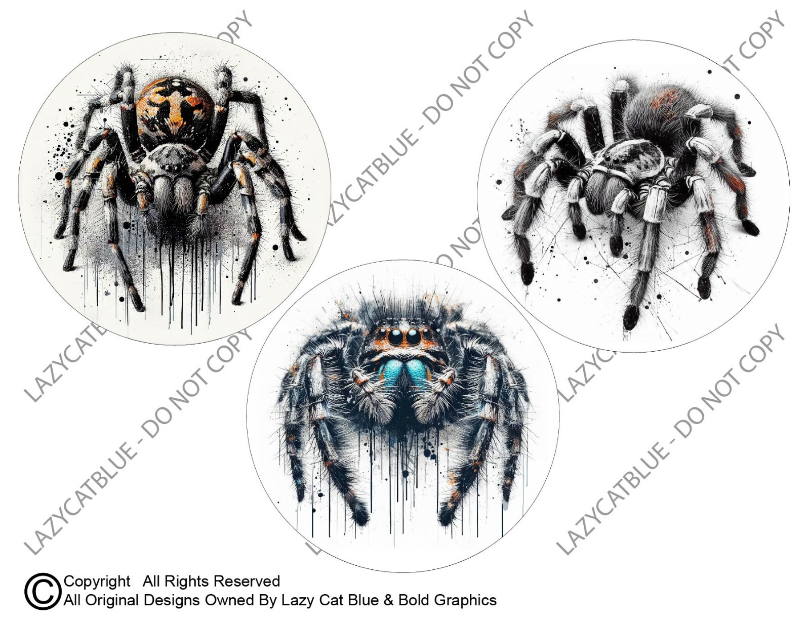 Jumping Spider Stickers Decals Set of 3 Pet Arachnid Bug Love Life Legs Web Wild