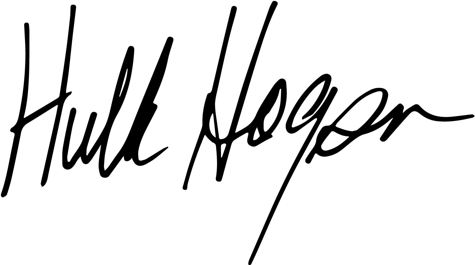 Hulk Hogan autograph vinyl decal signature actor wrestler Rocky wwe wwf