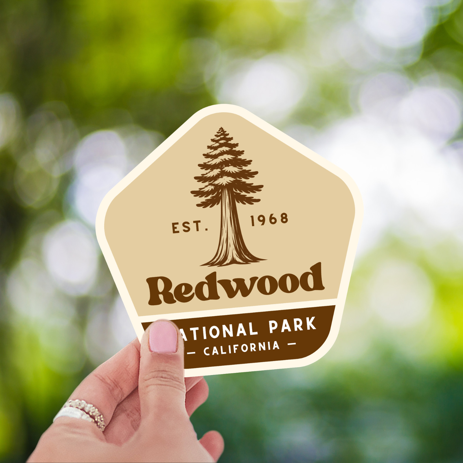 Redwood National Park Sticker Retro California Travel Vinyl Decal Badge