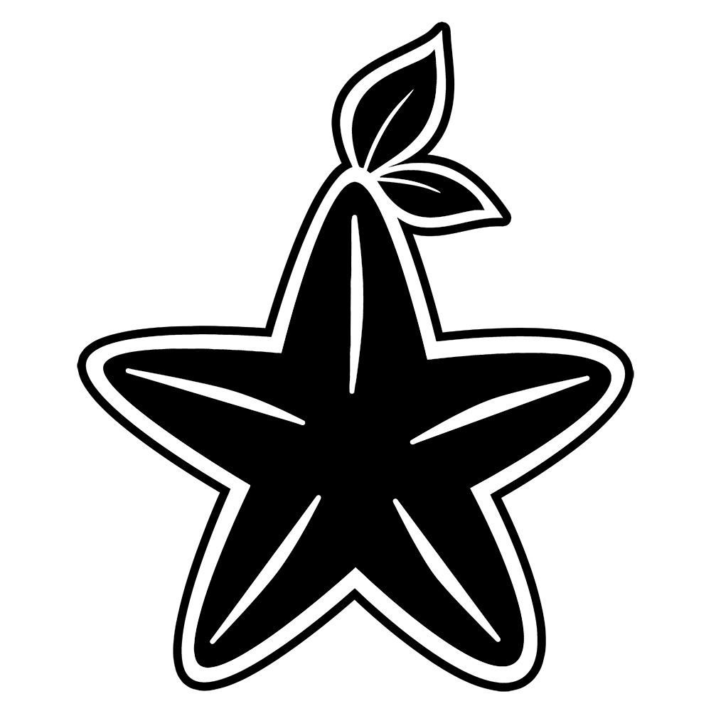 6" Video Game Kingdom Hearts Paopu Fruit Vinyl Decal Sticker