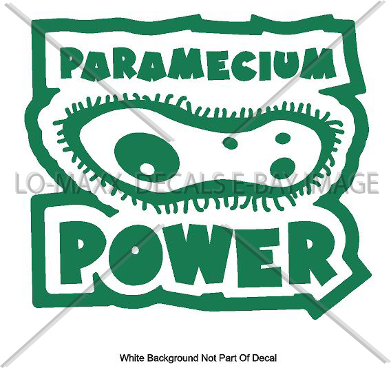 Paramecium Power One Celled Organism Art One Of A Kind Die-Cut Vinyl Decal