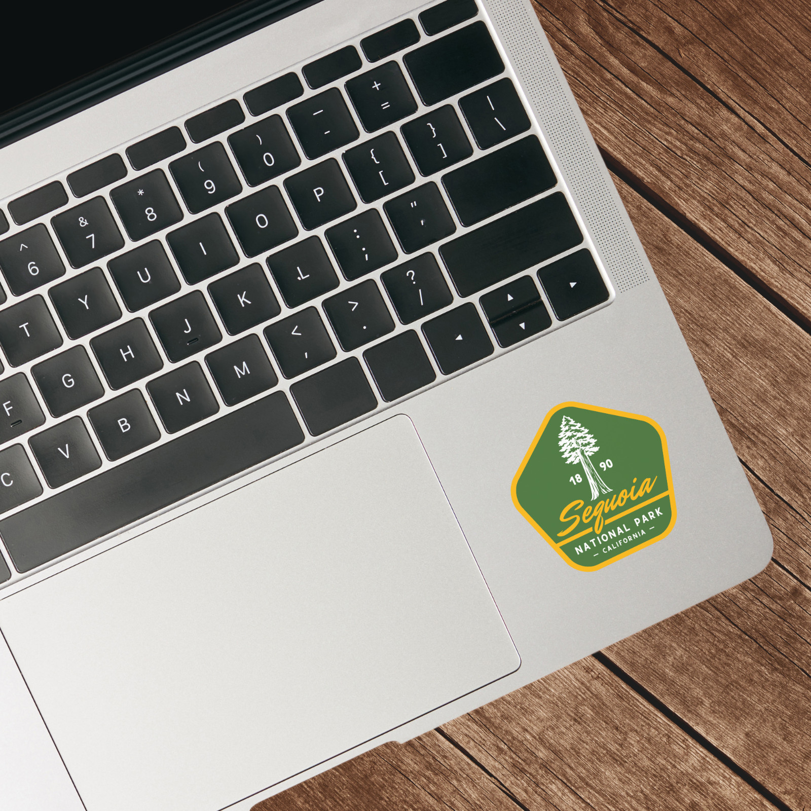 Sequoia National Park Sticker Retro California Tree Travel Vinyl Decal