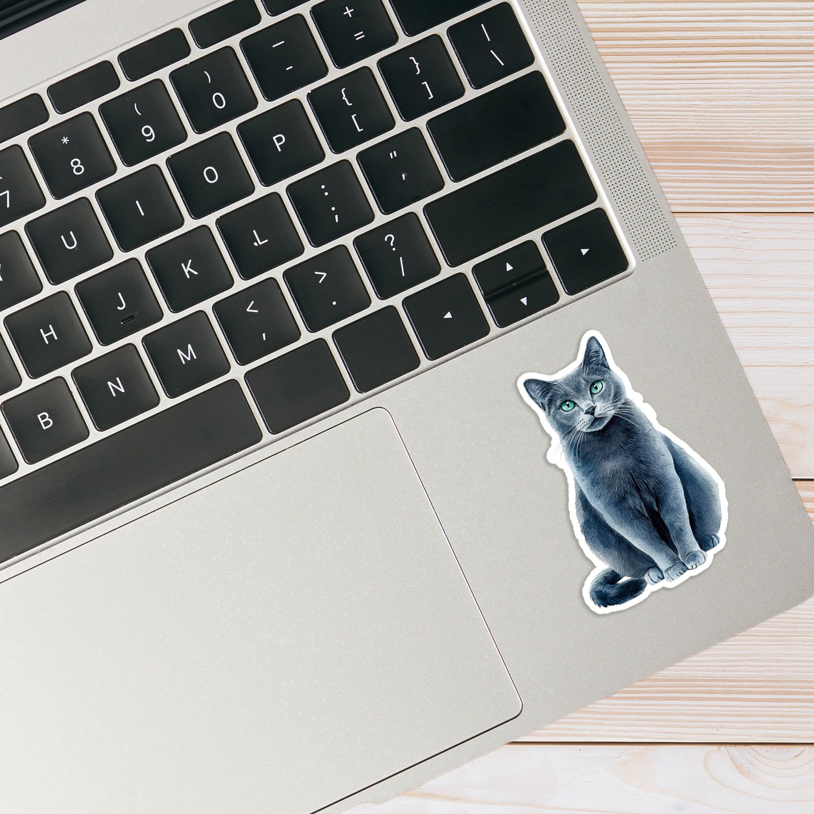 Short-Haired Gray Cat – Vinyl Decal Sticker – Car Window Laptop – #19