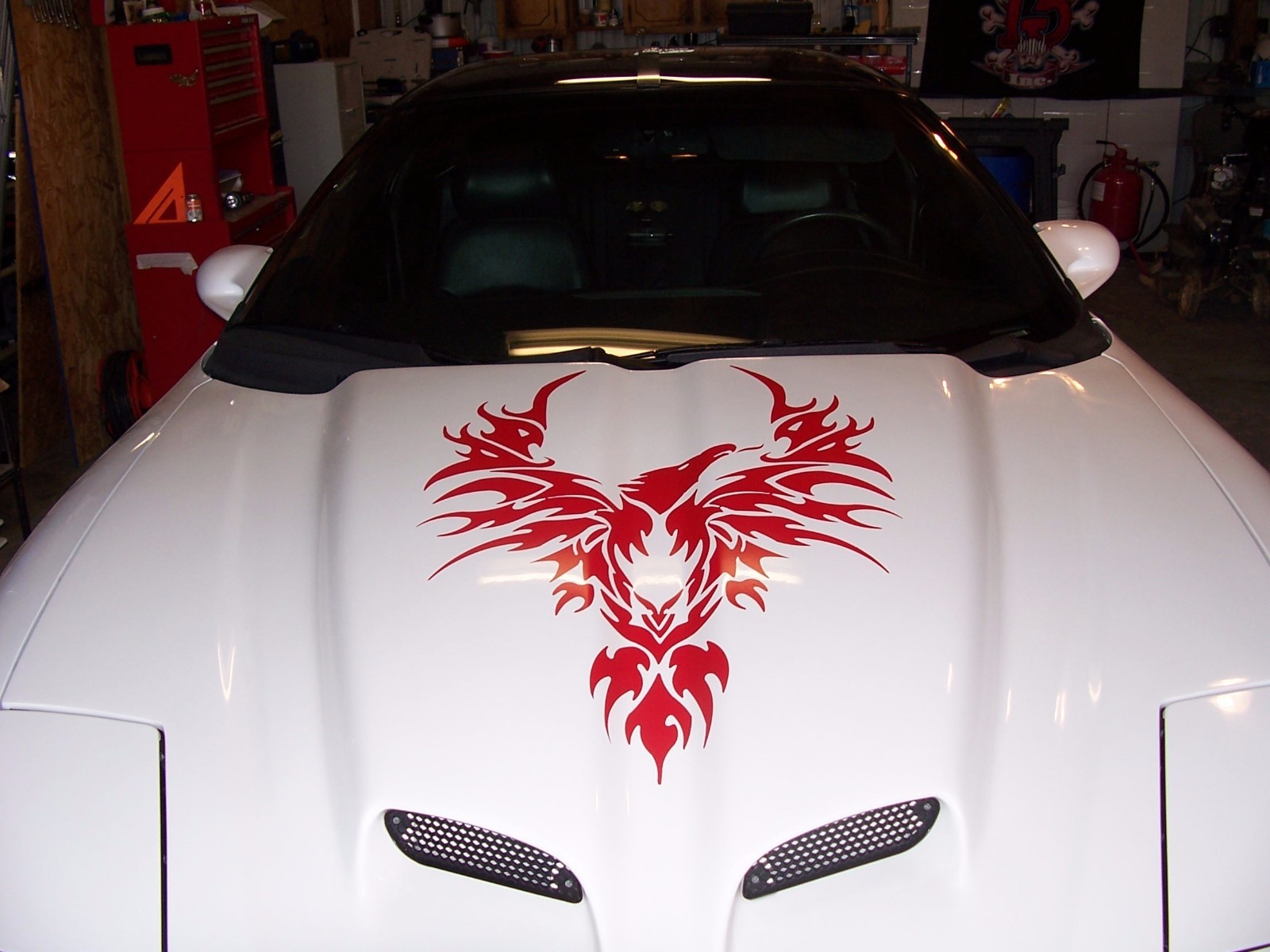 Hood Bird Sail Panel decals Phoenix fit Firebird Pontiac Trans Am Decal Graphics