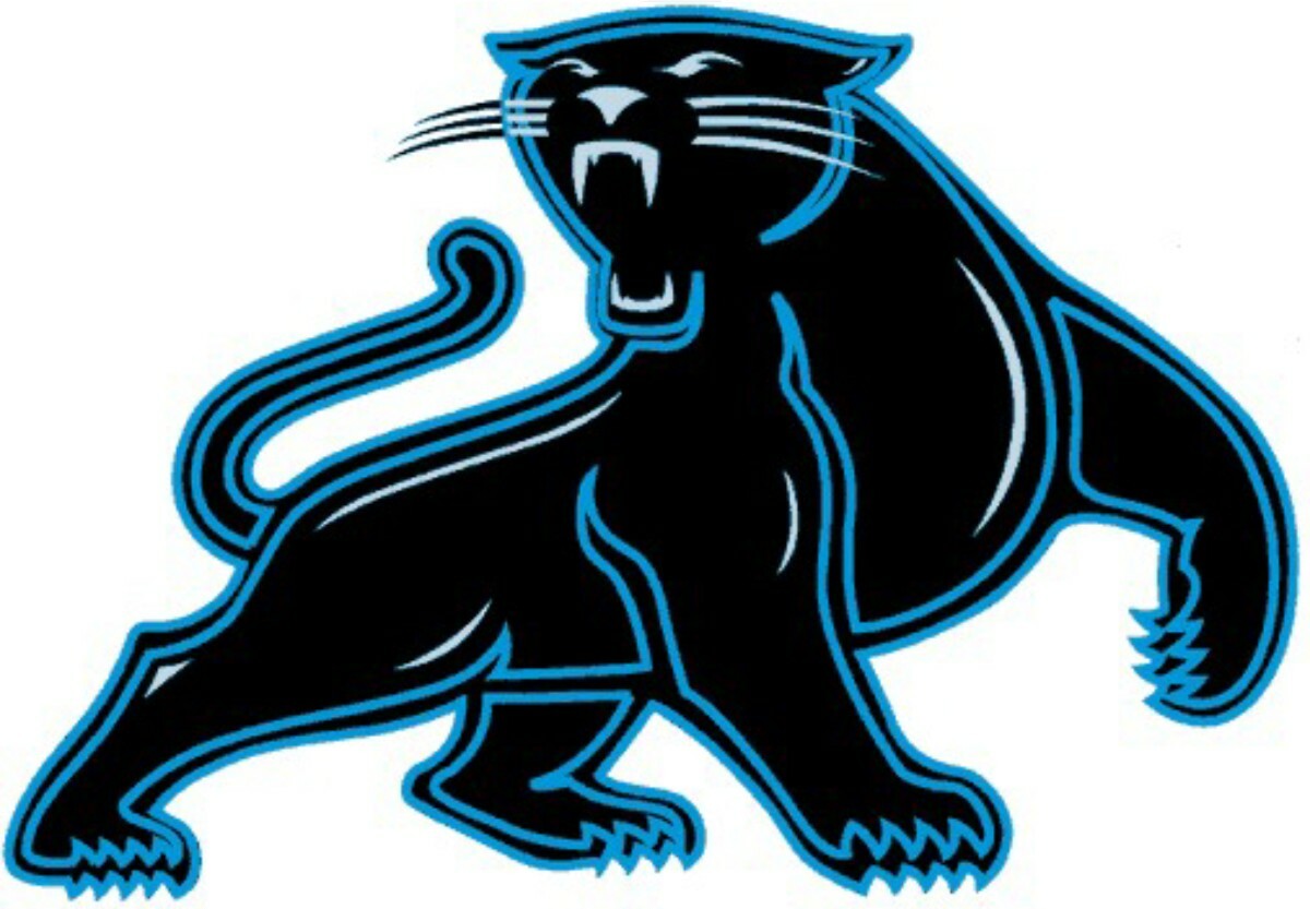 Carolina Panthers #11 NFL Team Pro Sports Vinyl Sticker Decal Car Window Wall