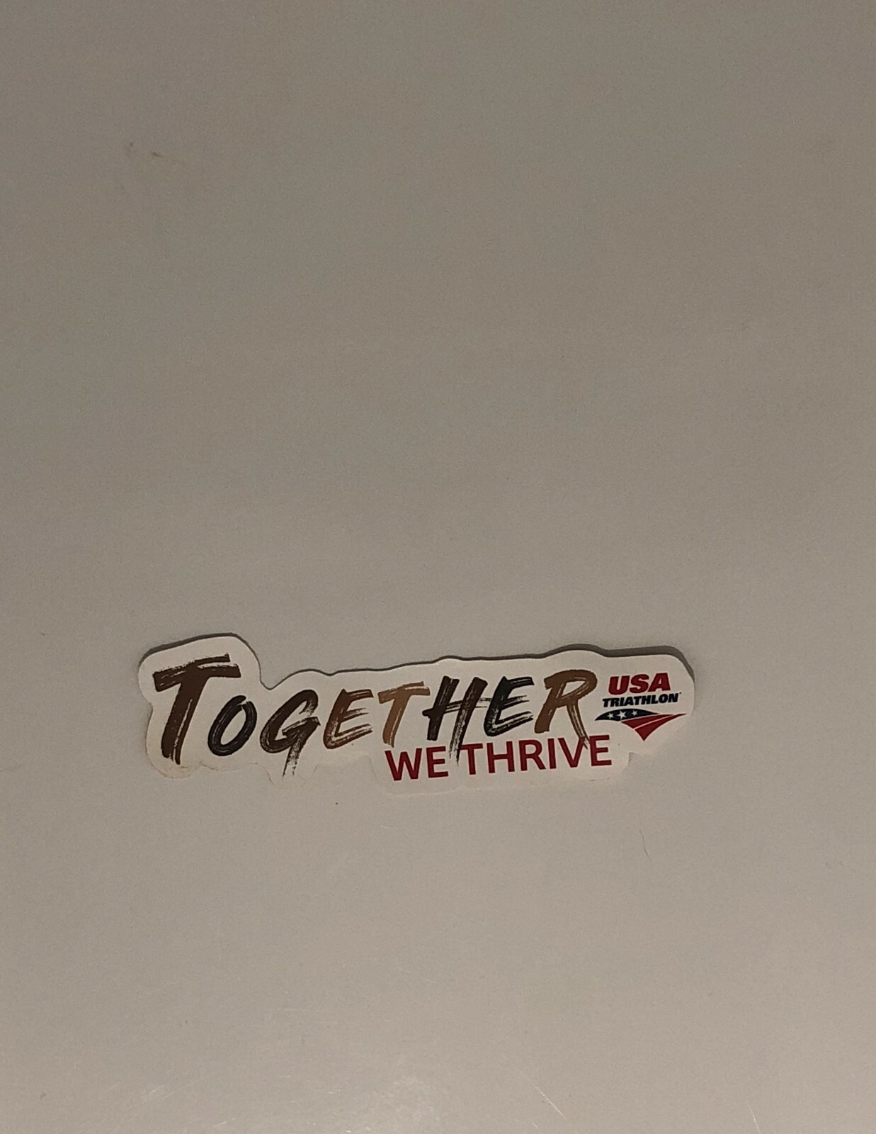 USA TRIATHLON Together We Thrive decal sticker 5.0×1.25in Equality Diversity BLM