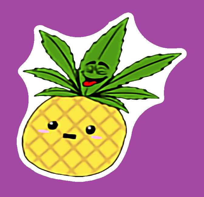 Pineapple Express Weed Strain Sticker Vinyl Decal Weed 420 Marijuana UV Safe