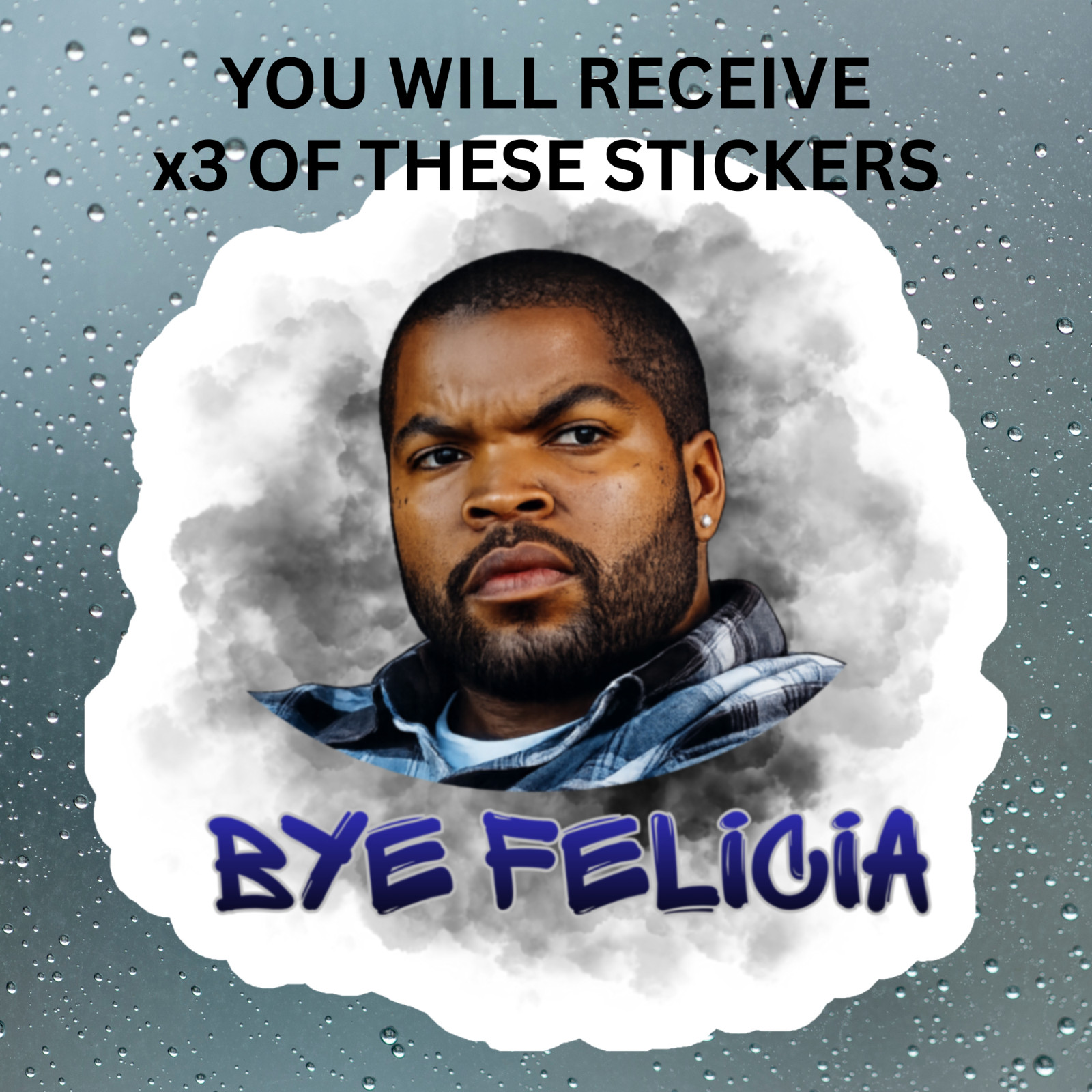 Bye Felicia Sticker – Friday Movie Tribute Decal – Funny Ice Cube Inspired Vinyl