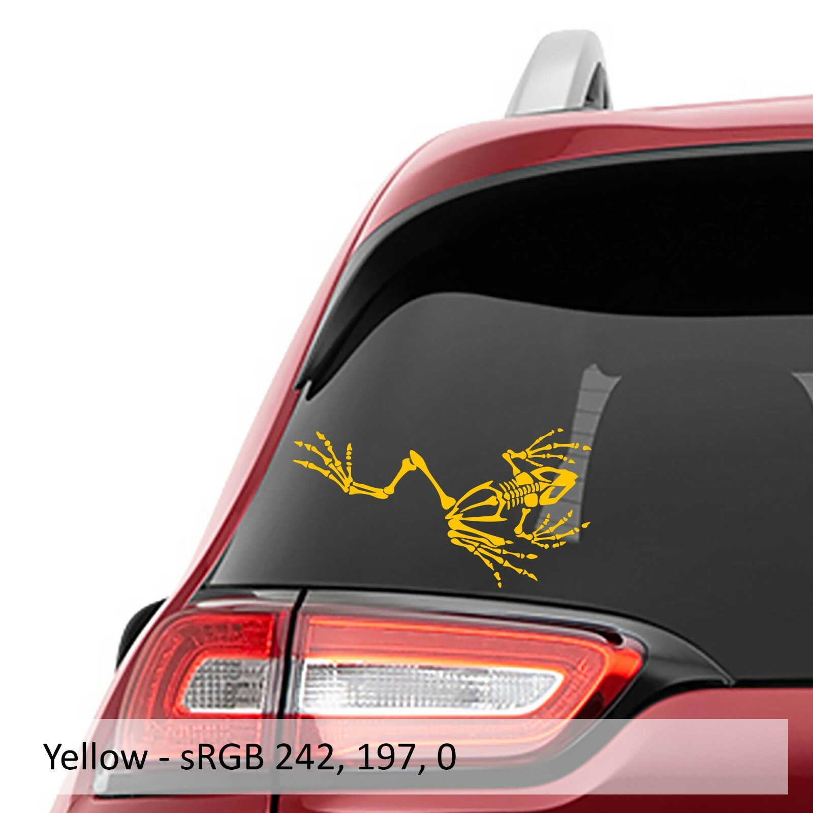 Bone Frog Skeleton Vinyl Decal