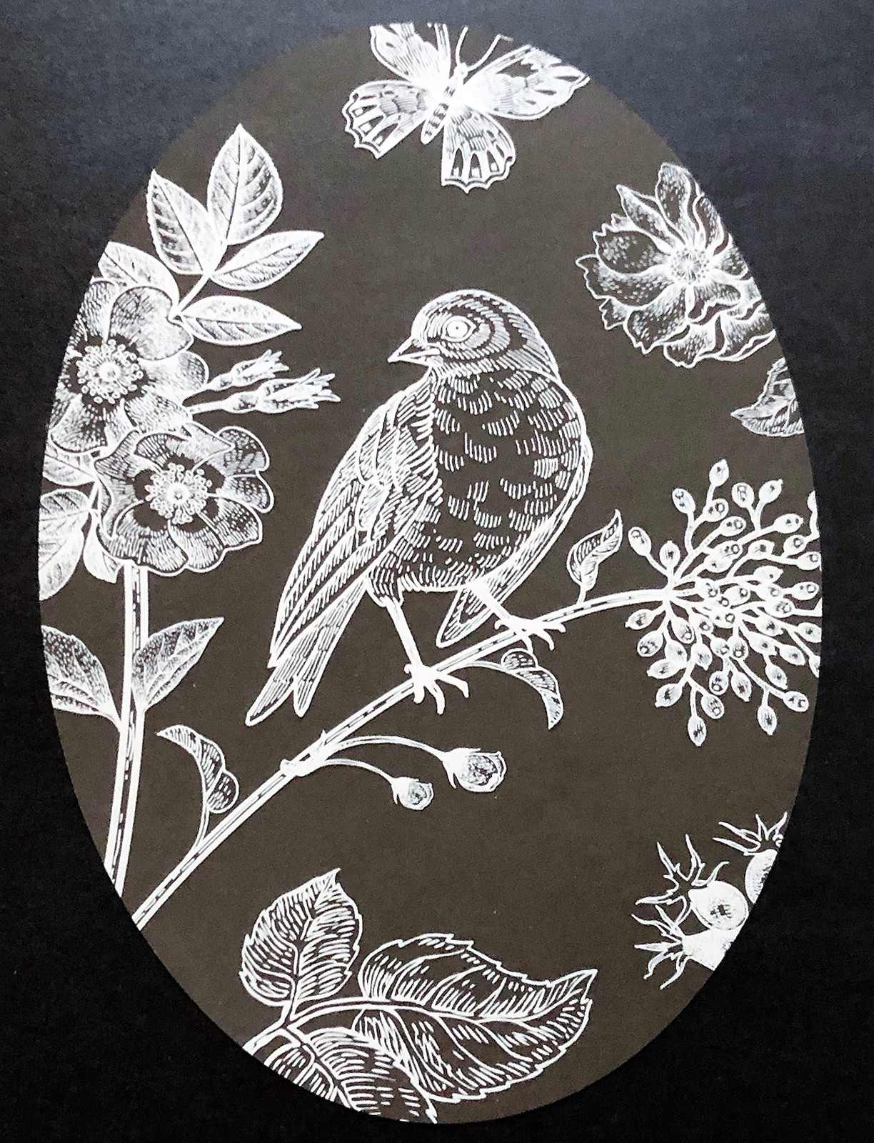 DCentral Bird & Butterfly Etched Glass Window Vinyl Cling Decal, 8"x12"