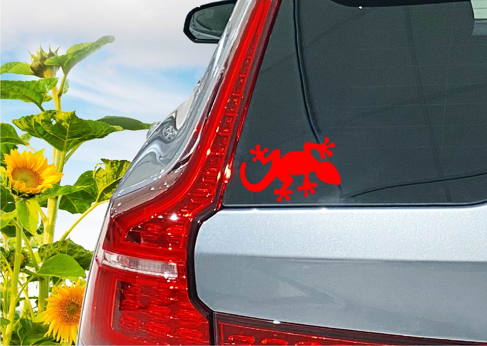 Gecko Decal Sticker Lizard Pet Reptile Love Sticky Feet Leopard Day Tokay Frog