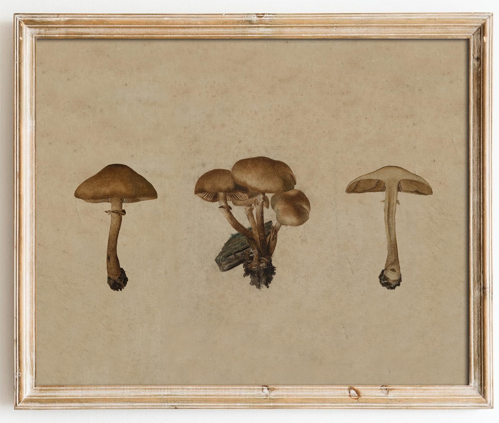 Kizbok Vintage Mushroom Wall Art Poster, Farmhouse Mushroom Wall Decor, Retro…