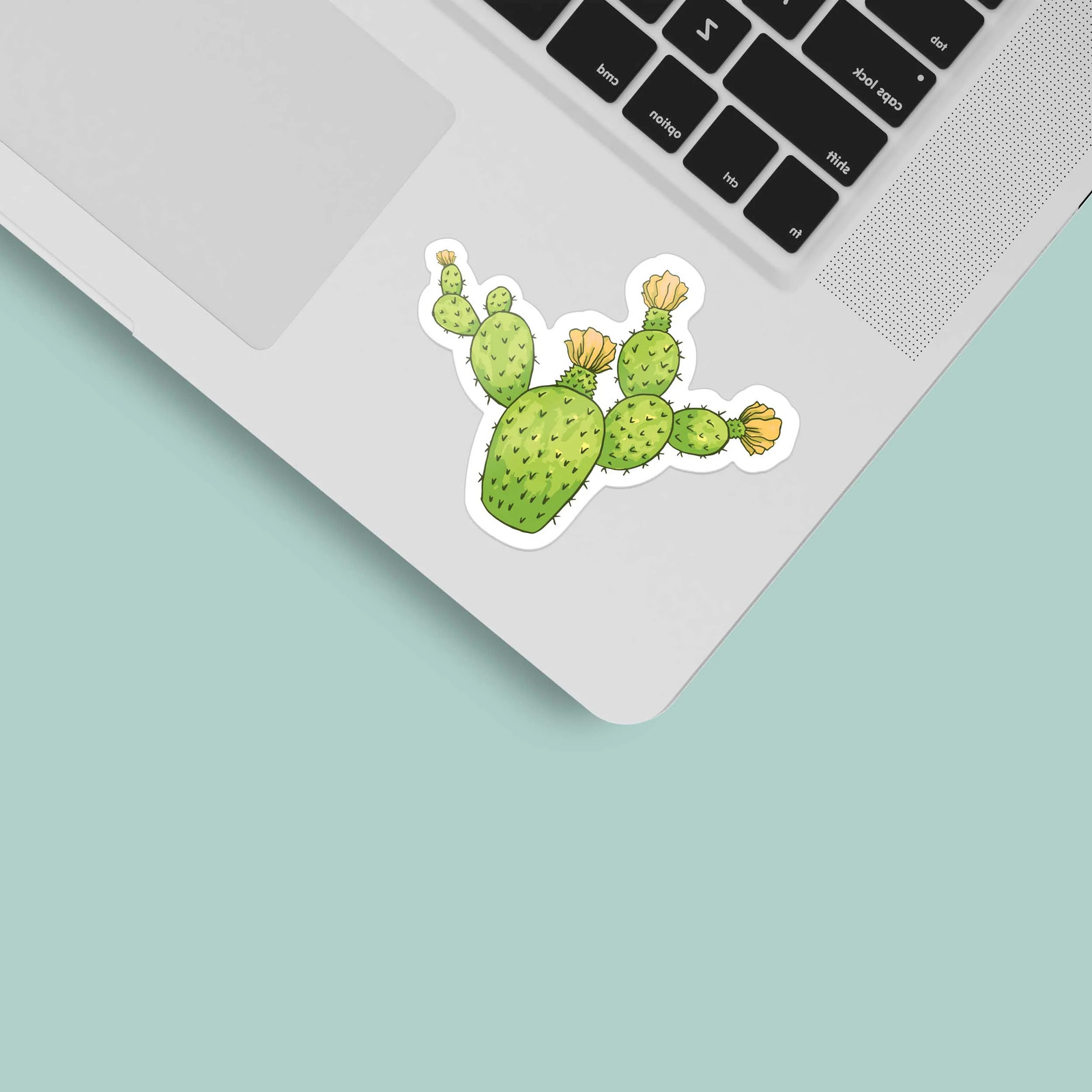 Prickly Pear Cactus Sticker