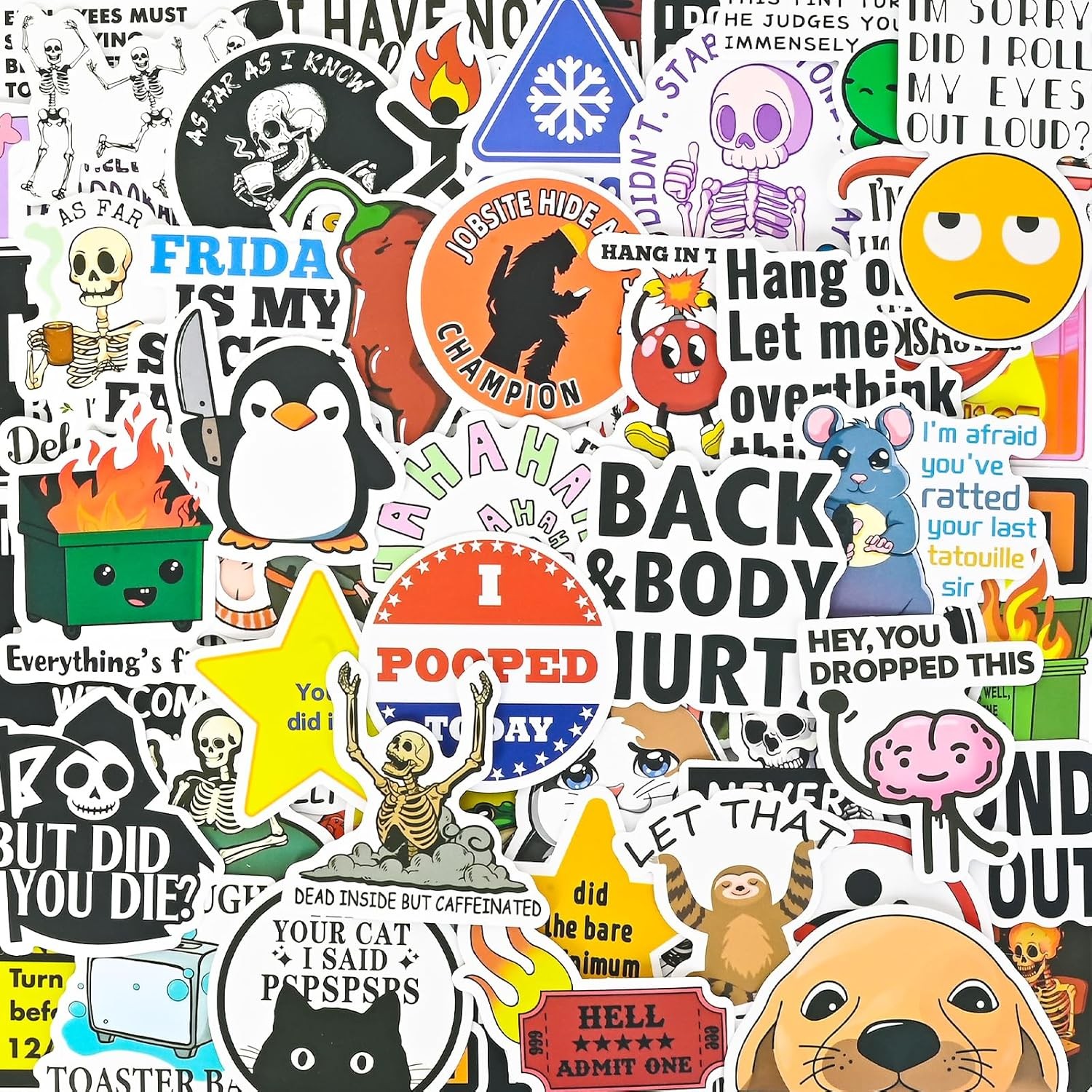 Funny Adult Waterproof Meme Stickers 100 Pcs Decals for Water Bottles Dirty