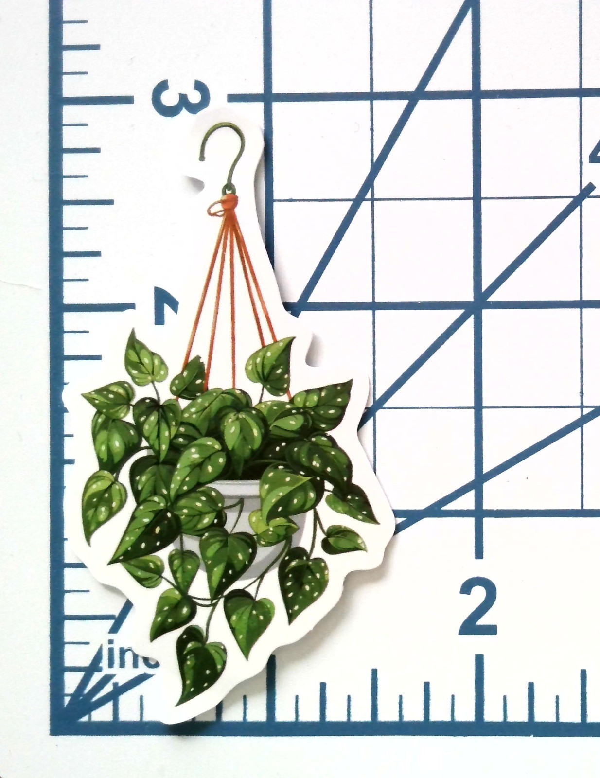 Scindapsus Satin Pothos Vinyl Sticker Die Cut Hanging Plant Journal Cute
