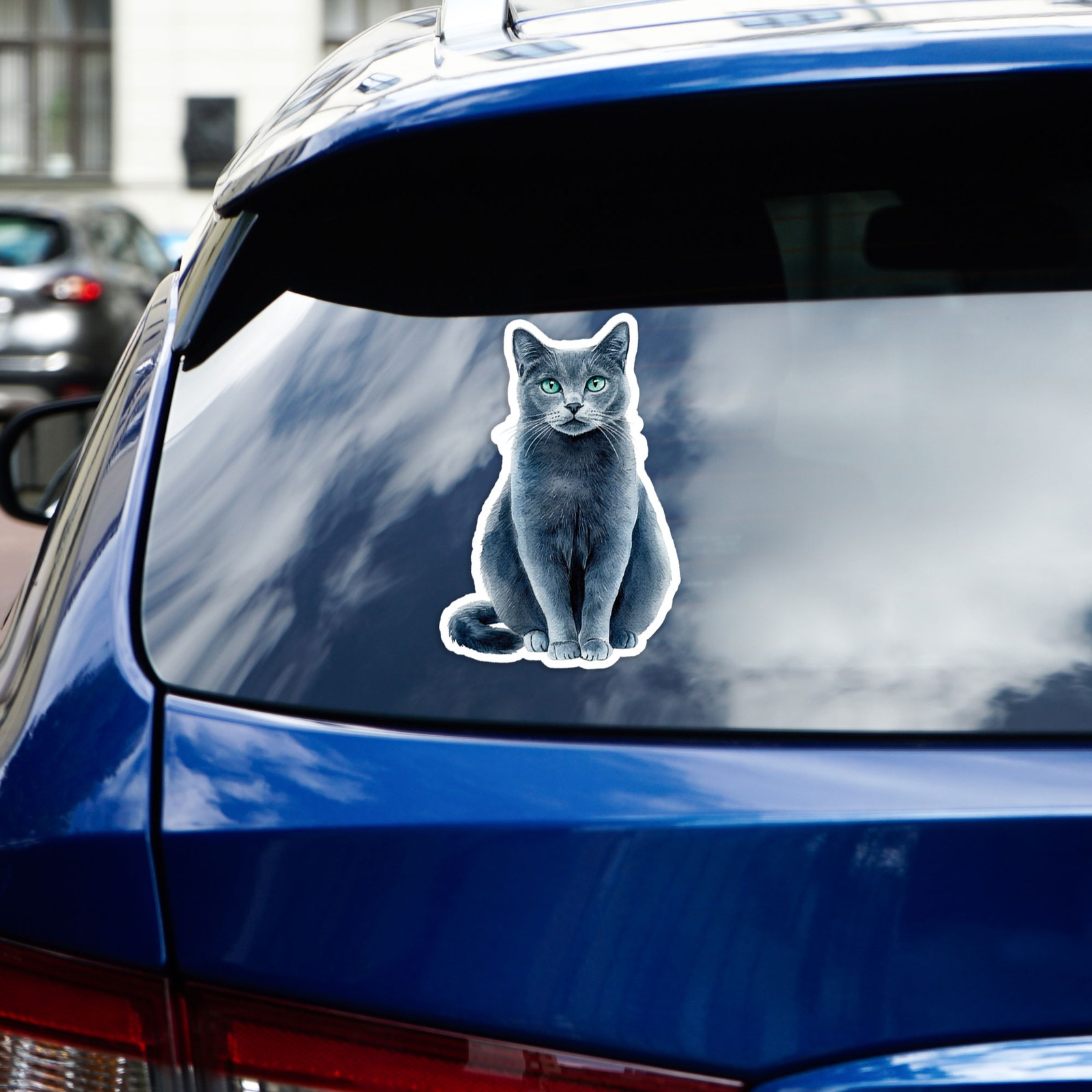 Short-Haired Gray Cat – Vinyl Decal Sticker – Car Window Laptop – #19