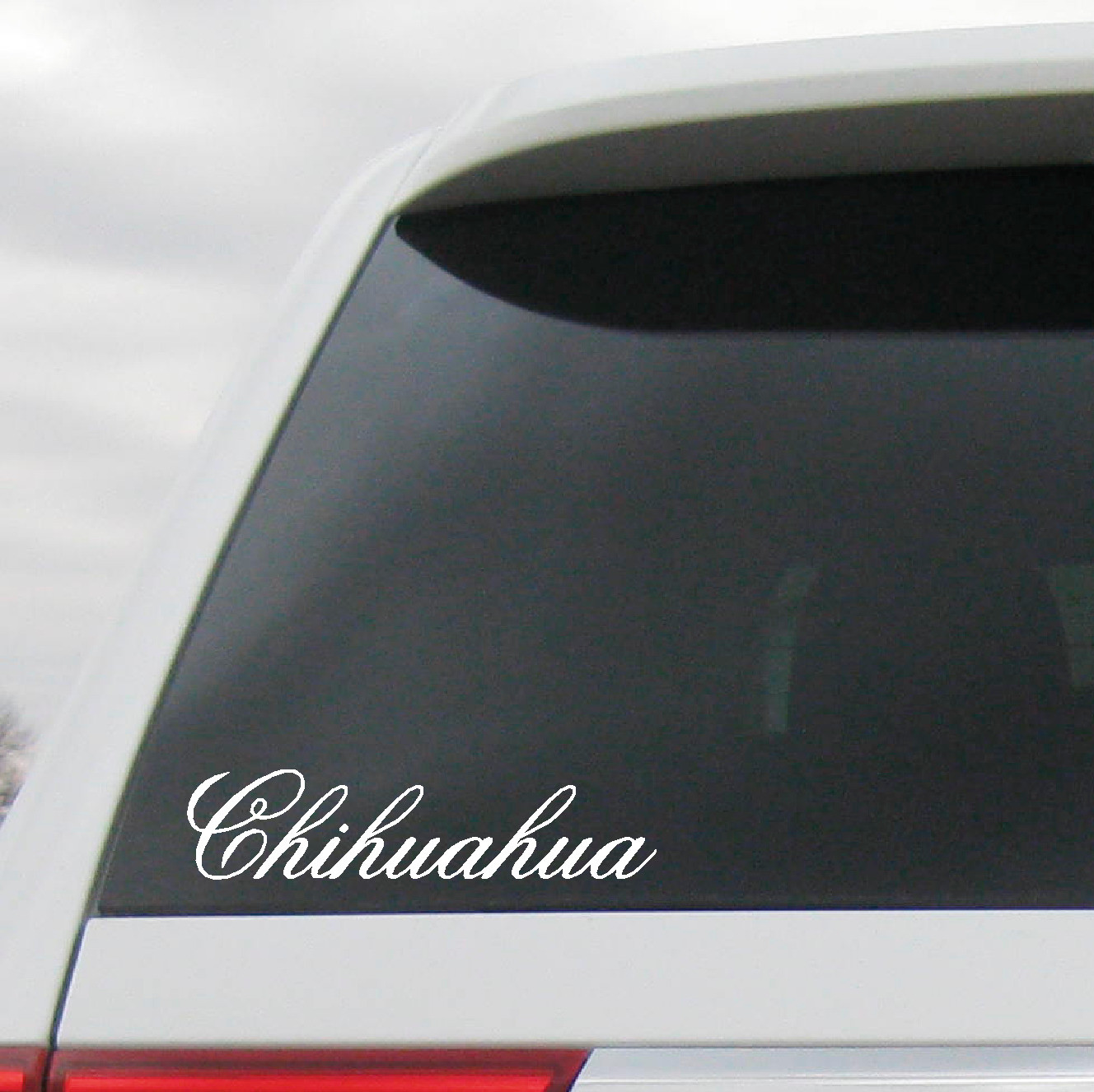 Chihuahua Decal Mexico State lettering Estado sticker MX CHH Ciudad Juárez