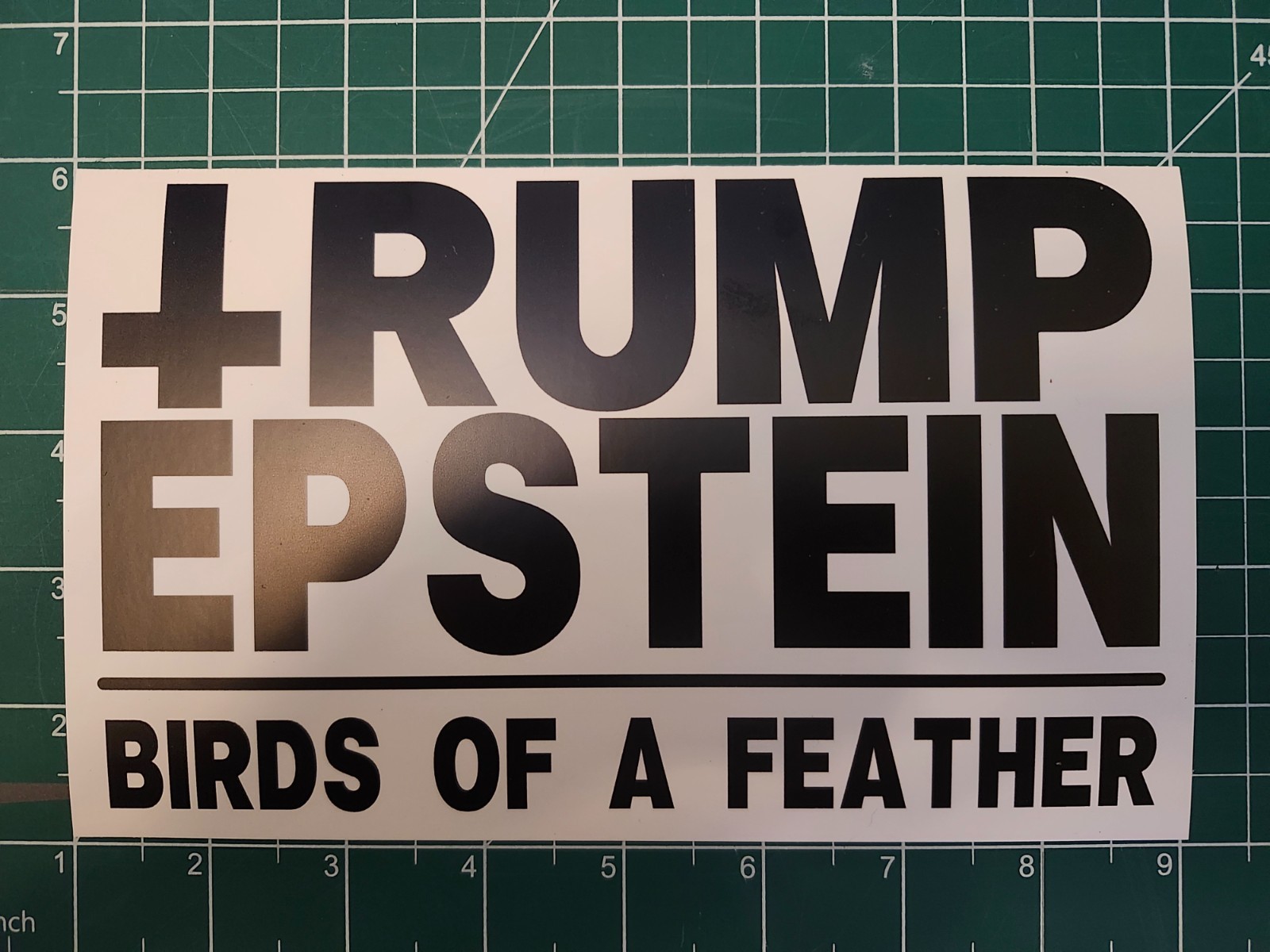 Anti-Trump Epstein EGGSHELL Sticker "Birds of a feather" 8" Vinyl Decal