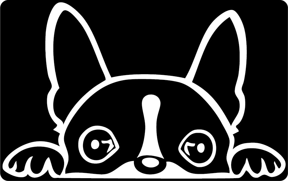 Boston Terrier Peeking Die Cut Vinyl No Background Multiple Color Decal Made USA