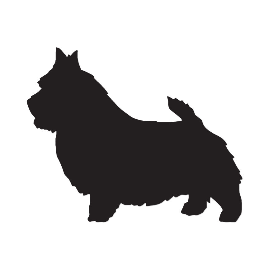 Norwich Terrier Dog – Vinyl Decal Sticker – Multiple Color & Sizes – ebn1986