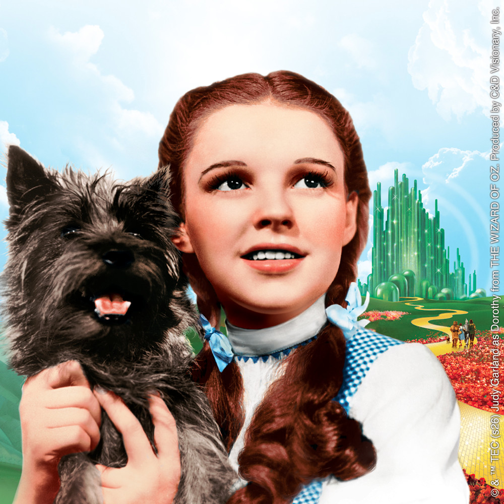 Sticker – The Wizard Of Oz Dorothy Toto The Dog 1930s Children's Fantasy Movie