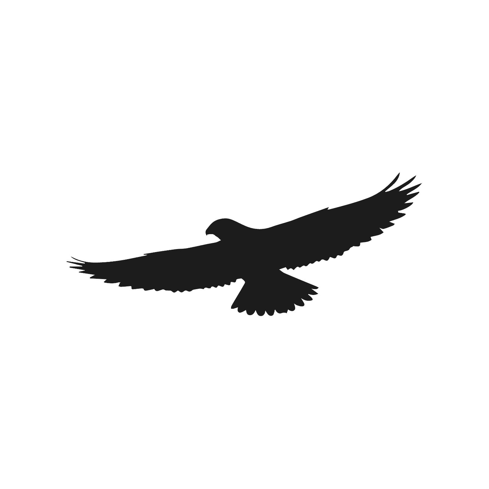 Falcon Flying Wildlife Bird Vinyl Decal Window Wild birds life Laptop Sticker