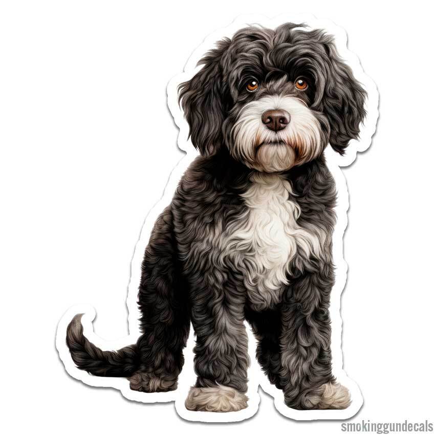 Portuguese Water Dog, Vinyl Decal Sticker, Indoor Outdoor, 3 Sizes, #12135